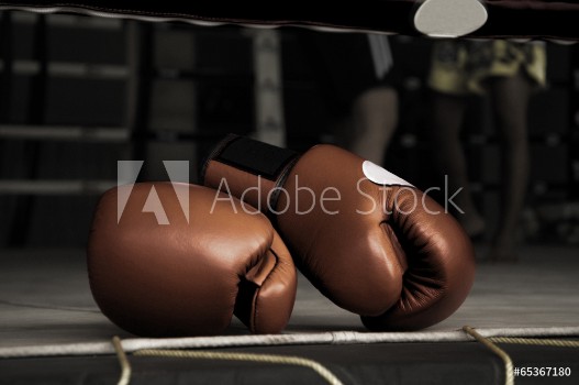 Picture of Boxing Glove Vintage